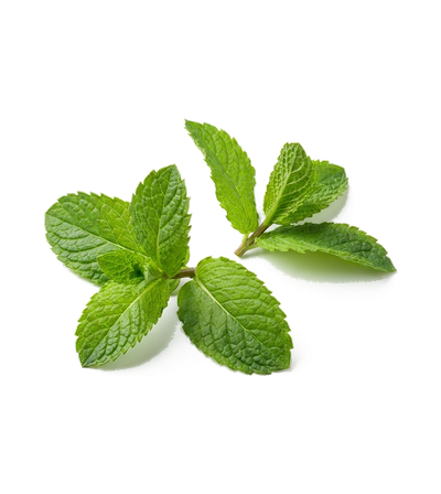 Mint